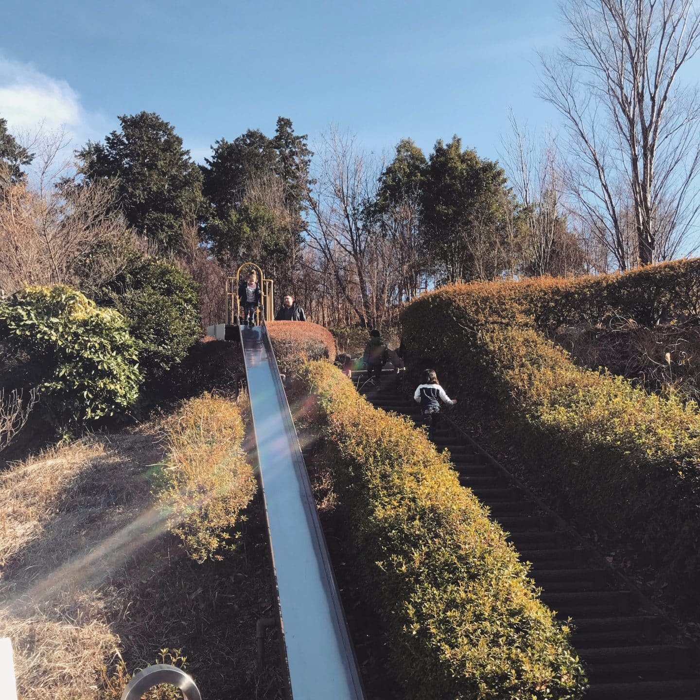 🌳 어린이의 숲 완파쿠랜드(코도모노모리 완파쿠란도) 이미지 3